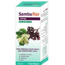 Экстракт черной бузины с пробиотиком и цинком, Extract of black elderberry with probiotic and zinc Sambuflor Syrup 120 ml